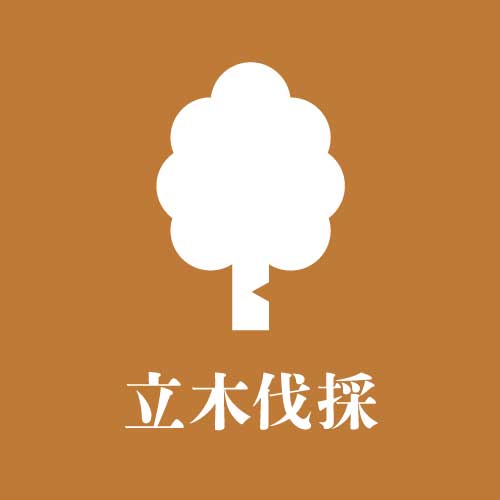立木伐採